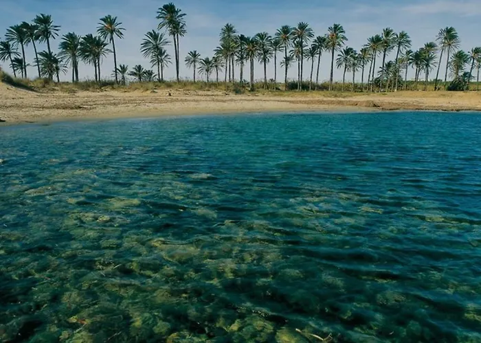 Red Sea Rent La Veleta Torrevieja